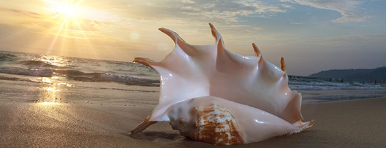 The Maverick#59: Inspiring and empowering, for the best is possible.