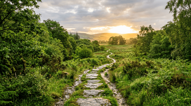 Rain-washed trail leading toward warm sunlight